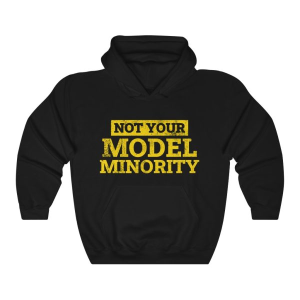Not Your Model Minority hoodie