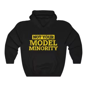 Not Your Model Minority hoodie