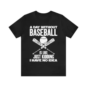 A Day Without Baseball Is Like Just Kidding I Have No Idea T-Shirt